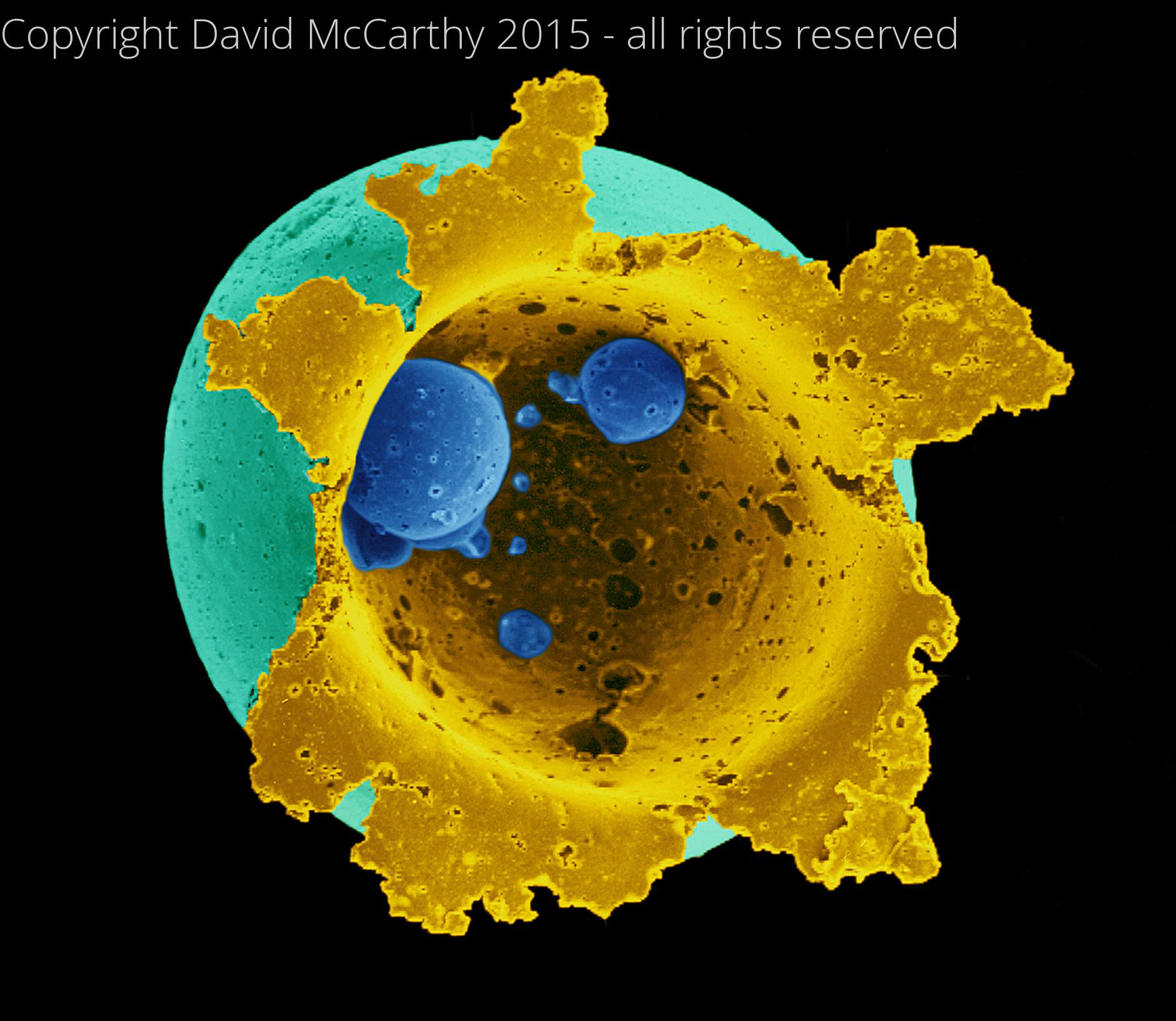 Drug Delivery Polymer