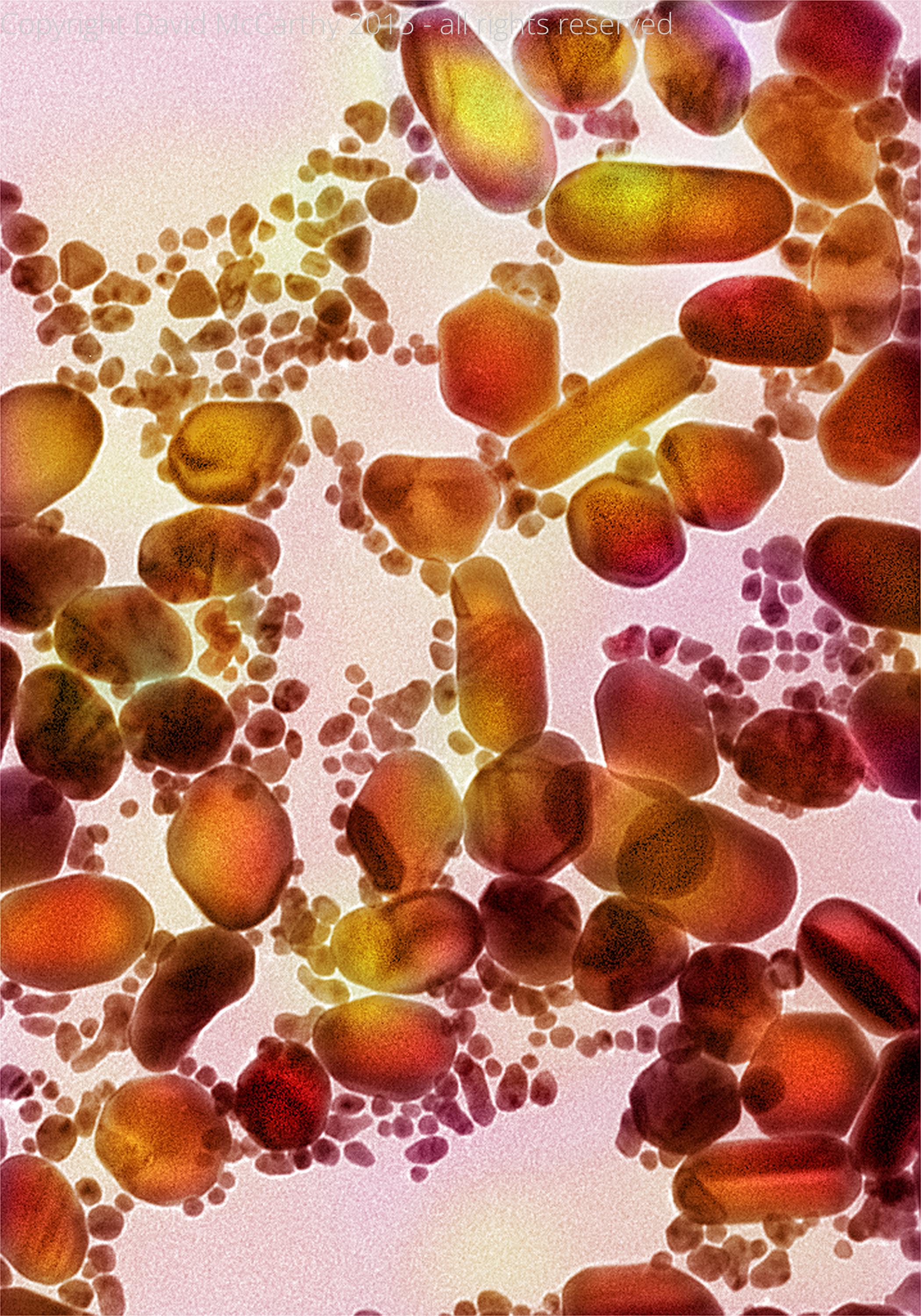 Gold nanoparticles 5nm - 90nm