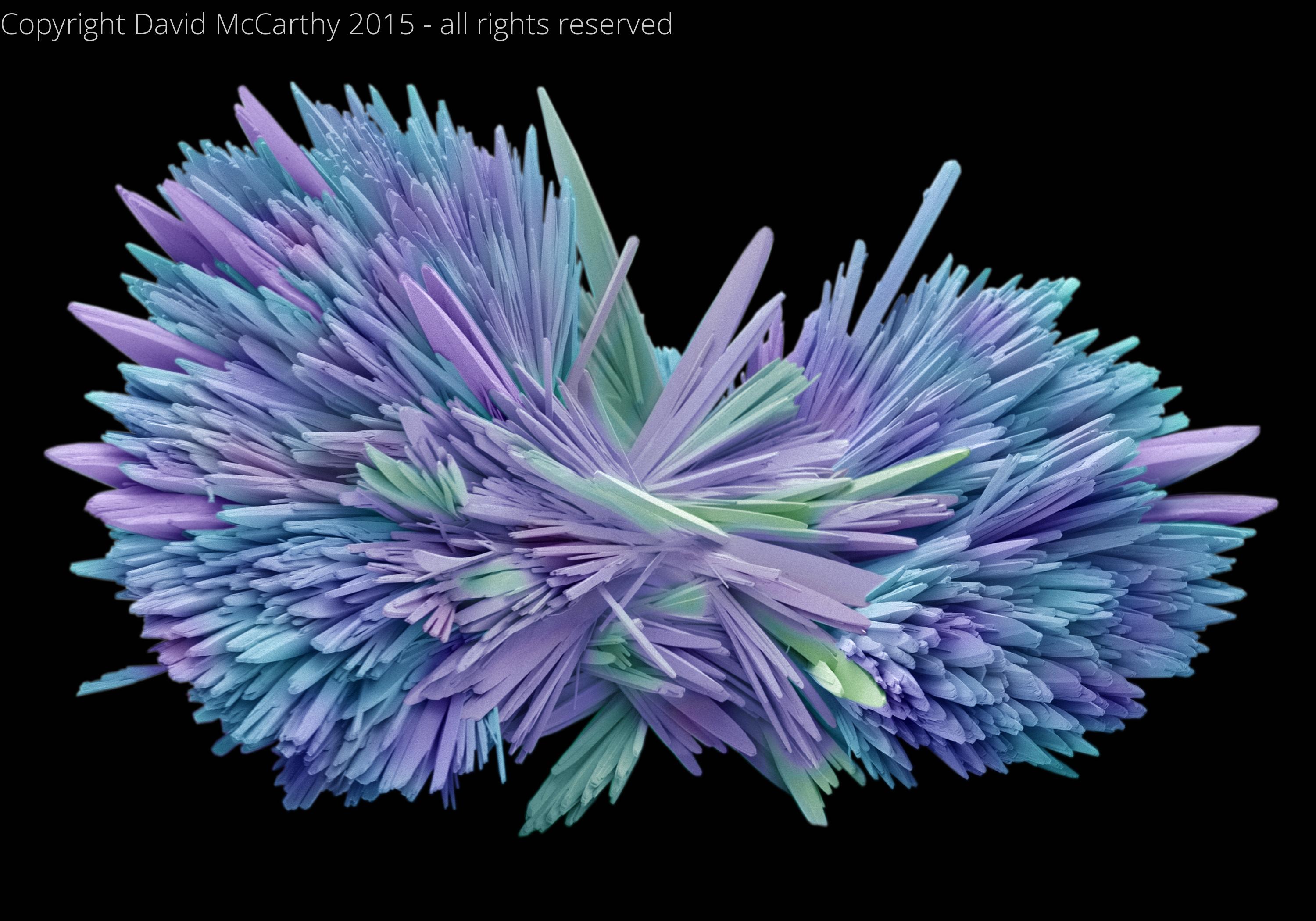 Salbutamol grown crystals